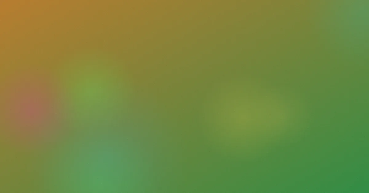 明月照尖东是什么